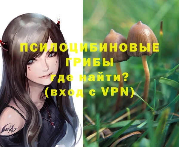 мет Каменногорск