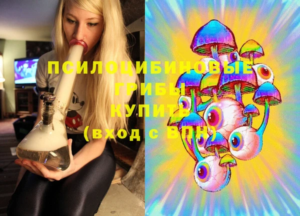 мет Арсеньев