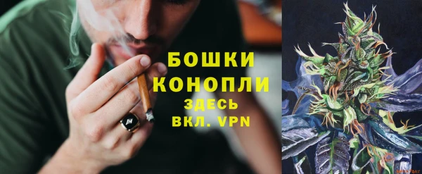 мет Арсеньев